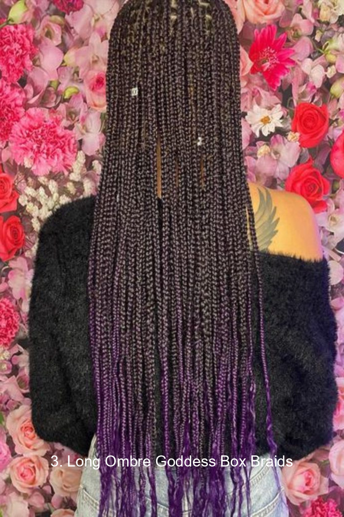 3. Long Ombre Goddess Box Braids