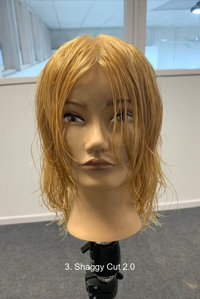 3. Shaggy Cut 2.0