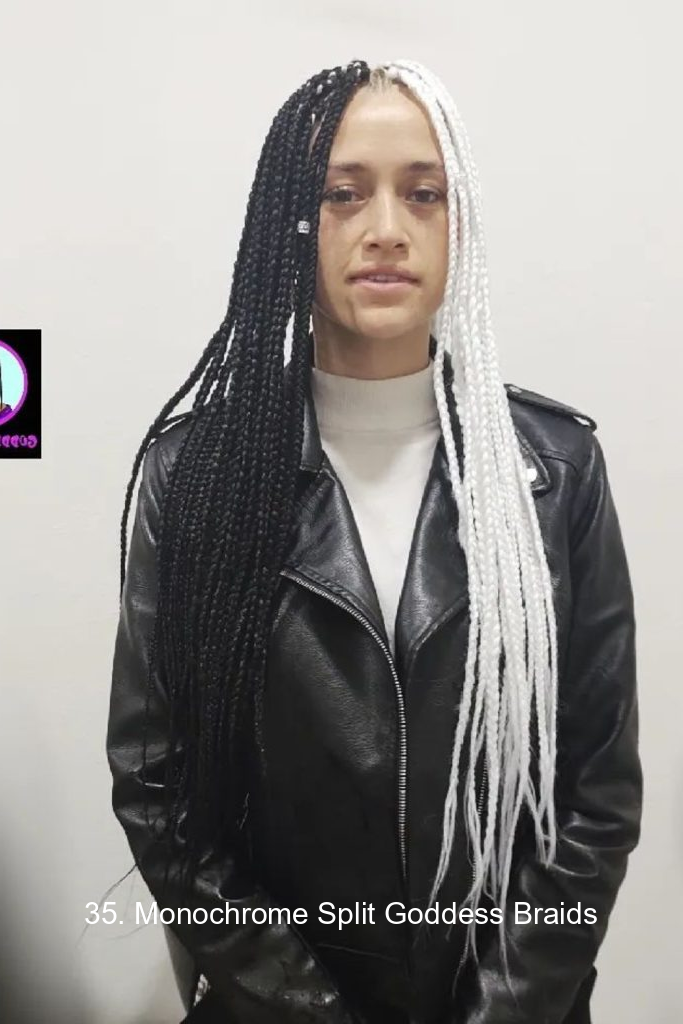 35. Monochrome Split Goddess Braids